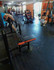 Imagem 6 da galeria do parceiro Elity fitness Jd Amanda