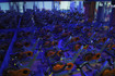Imagen 8 de la galería del partner Gimnasio Galaxy