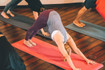 Image 4 from Vibetality partner gallery