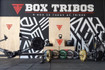 Imagem 3 da galeria do parceiro Box Tribos