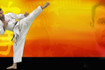 Bild 5 von Sportstudio Shotokan Partnergalerie