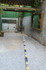 Imagem 6 da galeria do parceiro Unsquashable