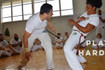 Image 2 from Sina De Capoeira partner gallery