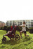 Bild 5 von buggyFit - Düren Partnergalerie