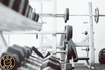 Imagen 4 de la galería del partner Fox Gym Oficial