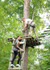 Bild 4 von Kletterwald am See Partnergalerie