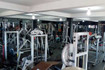 Imagem 1 da galeria do parceiro No Pain No Gain Fitness