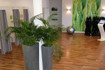 Bild 5 von im-pulsiv Freising Partnergalerie