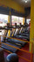 Imagem 5 da galeria do parceiro Lion Fit Academia