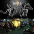 Imagem 6 da galeria do parceiro Studio Anita personal trainer