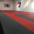 Image 3 from WATCHDOG KRAV MAGA partner gallery