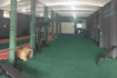 Imagem 2 da galeria do parceiro BRAVOS ACADEMIA FUNCIONAL