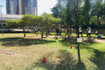 Imagem 2 da galeria do parceiro GynFly Assessoria Esportiva