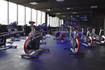 Bild 4 von FIT/ONE - Rostock Partnergalerie