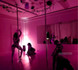 Image 1 from Vertical Venus Pole Fitness partner gallery