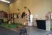 Imagem 3 da galeria do parceiro On Fight