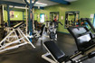 Image 1 from Fitness By Ina partner gallery
