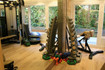Imagen 3 de la galería del partner ARCO Fitness & Personal Training
