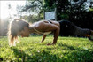 Bild 1 von Open Gym Munich - Nockherberg Partnergalerie
