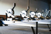 Image 5 from Rise Performance partner gallery