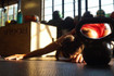 Image 1 from HV Tribe CrossFit partner gallery