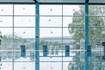 Bild 1 von Hallenbad Platsch Partnergalerie
