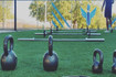Imagen 4 de la galería del partner Track Life Gym