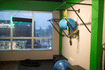 Imagem 6 da galeria do parceiro Concepttrainig