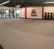 Image 1 from Tiger Rock Martial Arts partner gallery