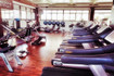 Immagine 3 dalla galleria del partner Professione fitness