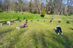 Immagine 4 dalla galleria del partner Bootcamp Bs - Milano, Giardini di Porta Venezia