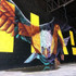 Imagem 3 da galeria do parceiro Wohali Crossfit Sudoeste