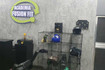 Imagem 4 da galeria do parceiro Academia Fusion Fit