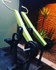 Imagem 1 da galeria do parceiro Fit Training Gym