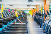 Imagen 5 de la galería del partner Fiter - Nuñez