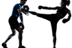 Image 1 from Superior Martial Arts and Fitness partner gallery