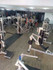 Imagem 5 da galeria do parceiro Animal Saboó Fitness