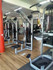 Imagem 4 da galeria do parceiro Academia Animal Gym Nova Cintra