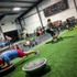 Image 3 from JAM Fitness Coaching partner gallery