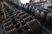 Bild 8 von Fitnesscenter Schardt Partnergalerie