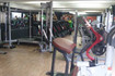 Imagem 5 da galeria do parceiro Academia New Corpore - Unidade Cocotá