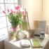 Image 3 from Bayside Meditation partner gallery