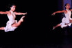 Imagem 5 da galeria do parceiro Centro Cultural Tania Larrubia