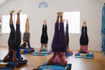 Image 1 from Iyengar Yoga Sarasota partner gallery