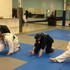 Image 2 from Helena ATA Martial Arts partner gallery