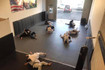 Image 4 from Park City Jiu Jitsu - Park City partner gallery