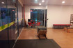 Imagem 6 da galeria do parceiro Pure Pilates - Pompeia