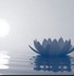 Image 5 from Inoshi Denizen partner gallery
