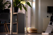 Bild 2 von FeelFit Münster EMS Partnergalerie