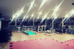 Imagem 1 da galeria do parceiro Academia Planet Saúde